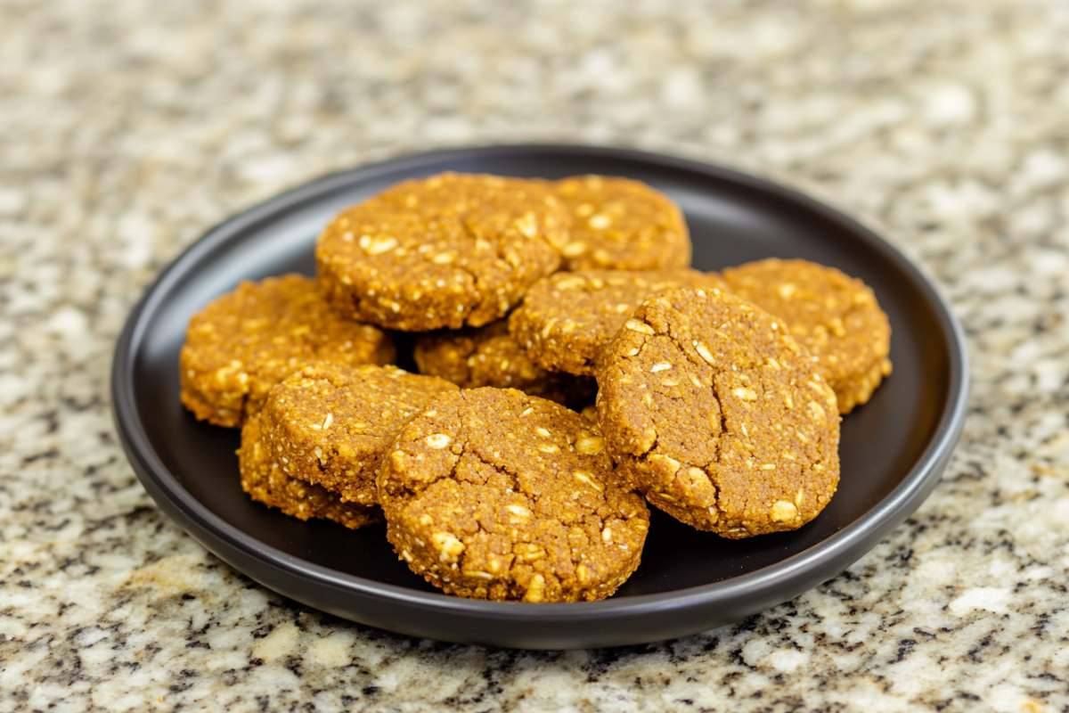 Homemade Pumpkin Oat Dog Treats